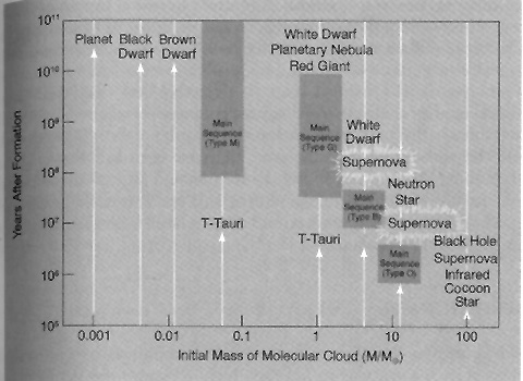 Diagram showing the evolution of a star dependent on the initial mass of it's molecular cloud.